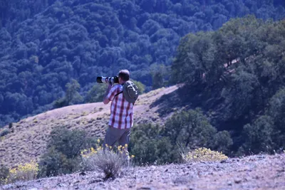 DSC_2205 (Large).JPG